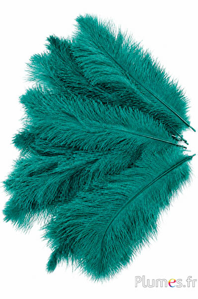 Struisvogel - 30-40 cm - jade